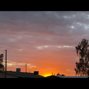 Meet your Posher, Junior